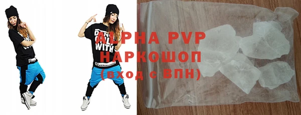 индика Дмитриев